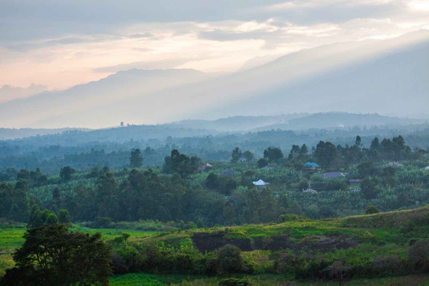 Booking Uganda Safari