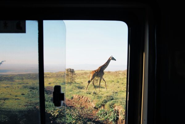 Safari etiquette rules