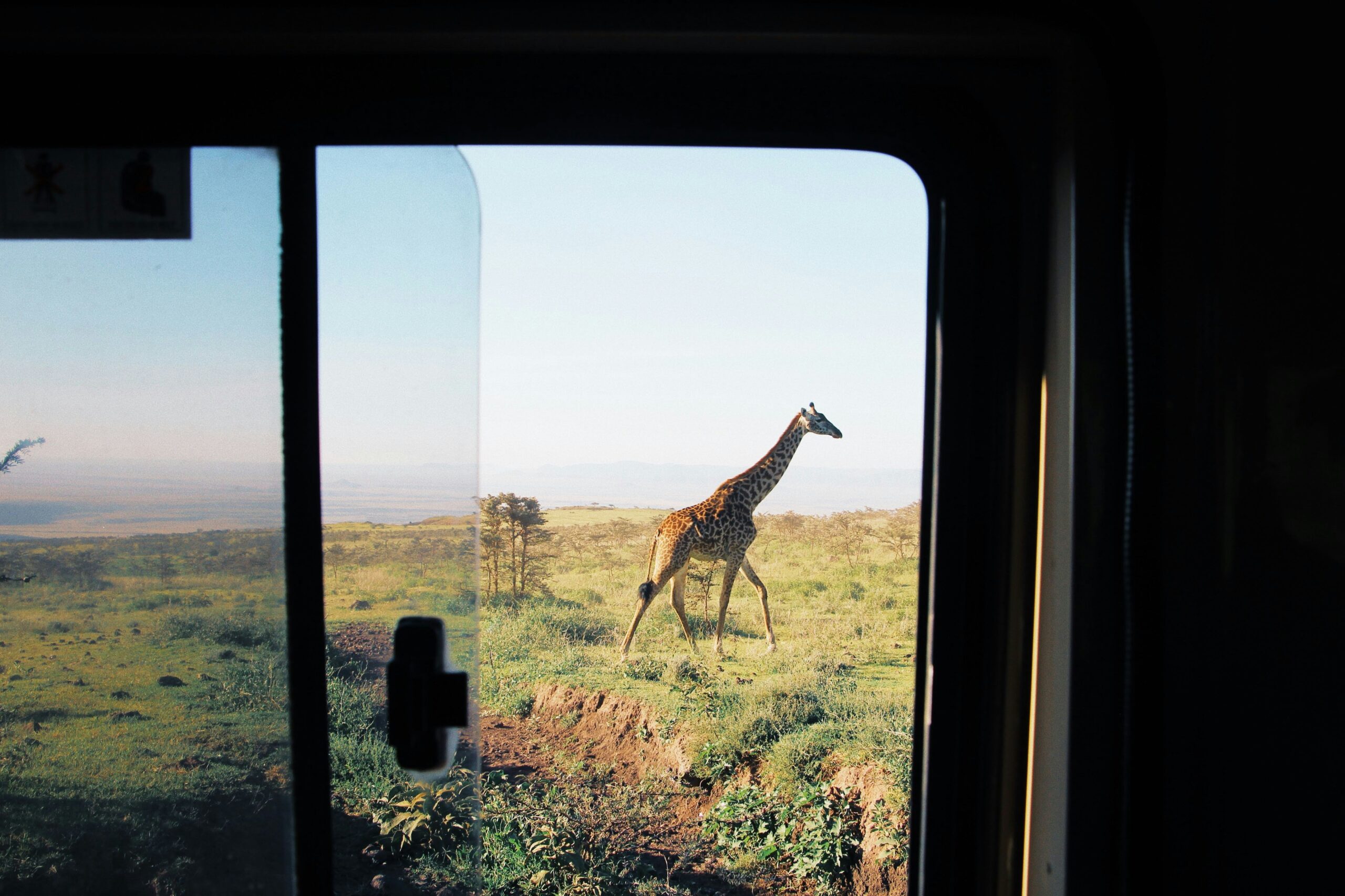 Safari etiquette rules