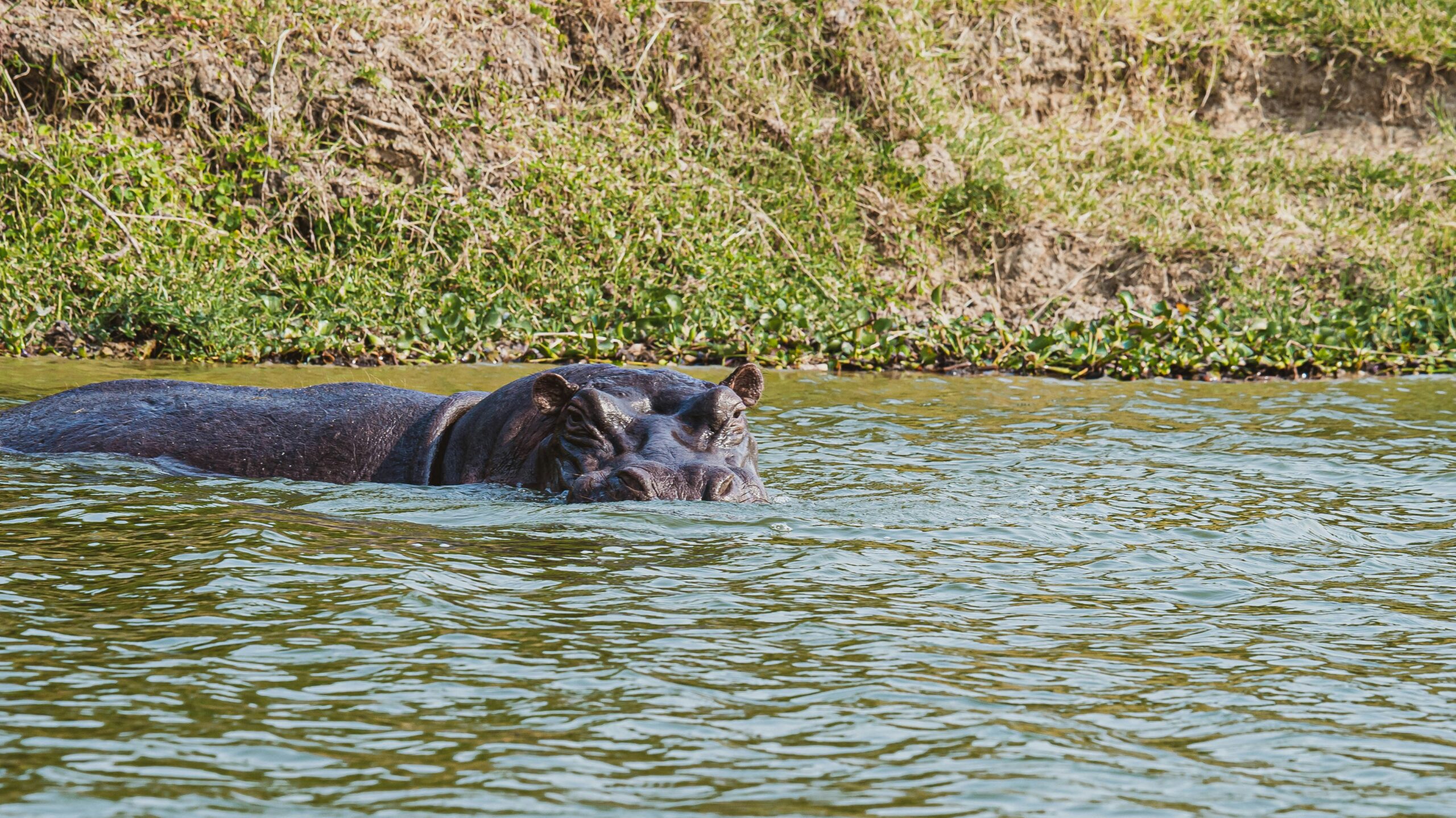 Murchison Falls Fees