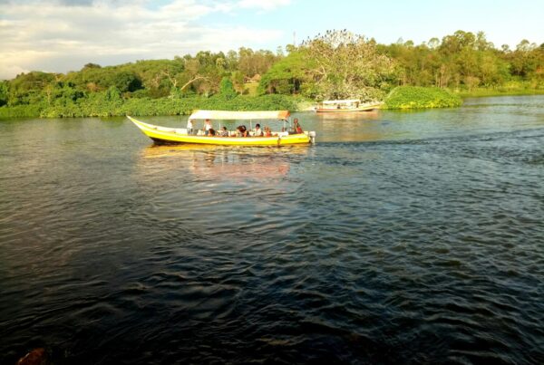 Nile Fishing Murchison Falls