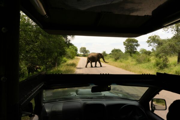 Private Game Reserve Uganda
