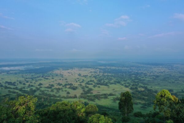 getting to Queen Elizabeth National Park from Kampala