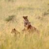Murchison Falls Park Rules