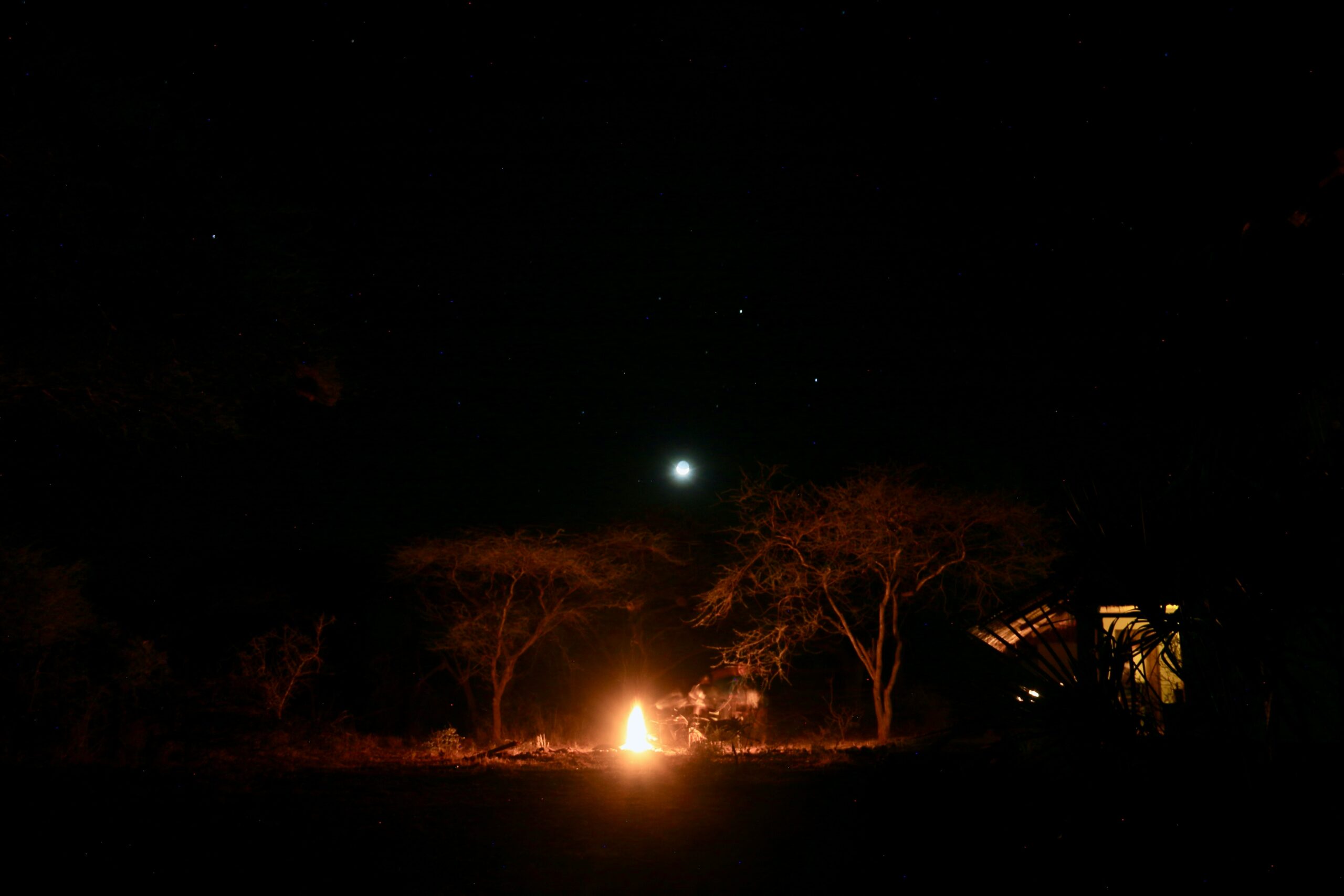 Kibale Forest night walk