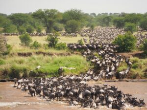 East Africa travel 2026