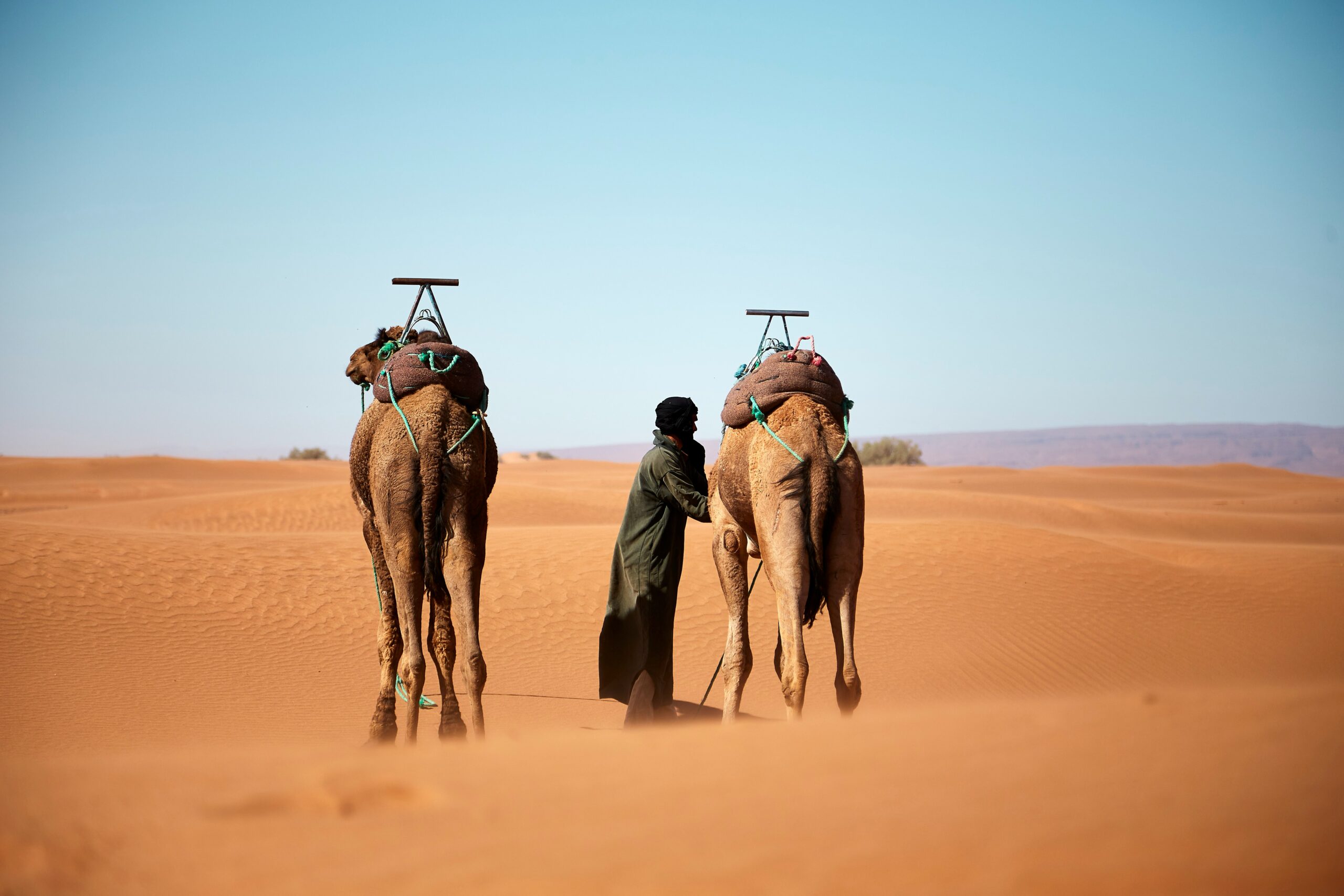 Sub-Saharan Africa Safari