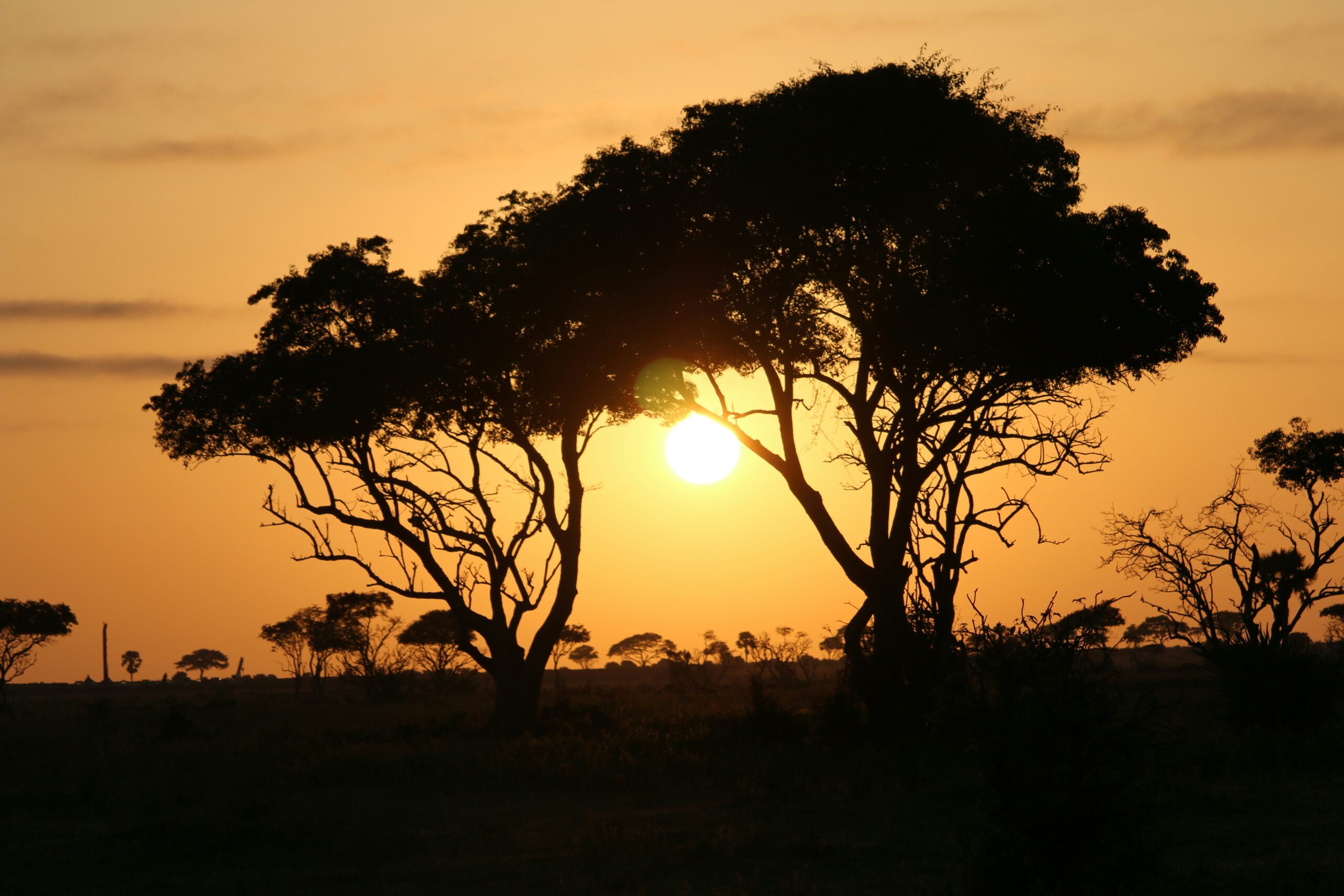 Free Things to Do Near Murchison Falls