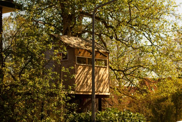 Murchison Falls Treehouse Lodge