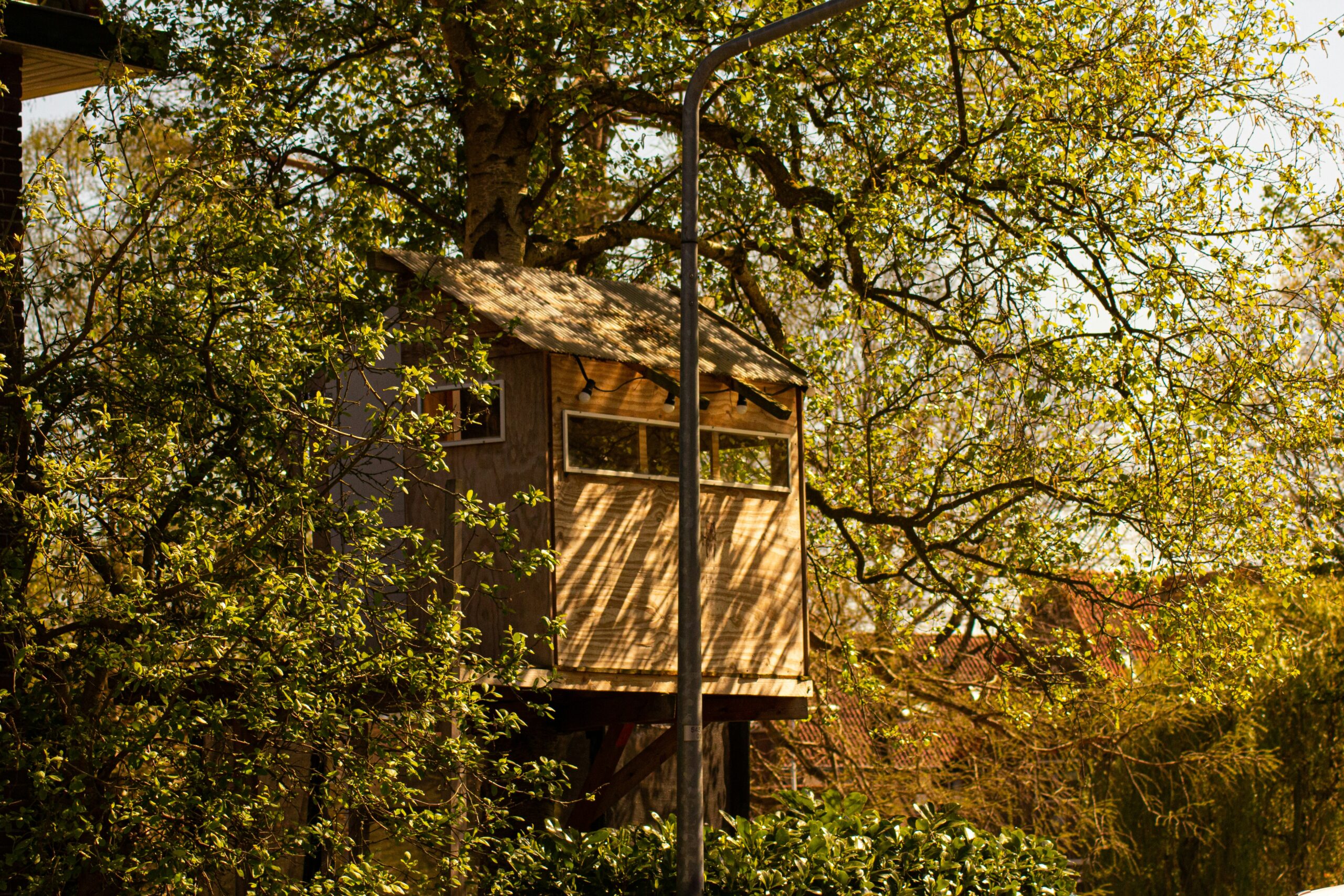 Murchison Falls Treehouse Lodge
