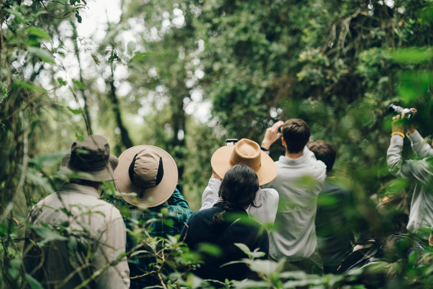 Uganda Safari Difference