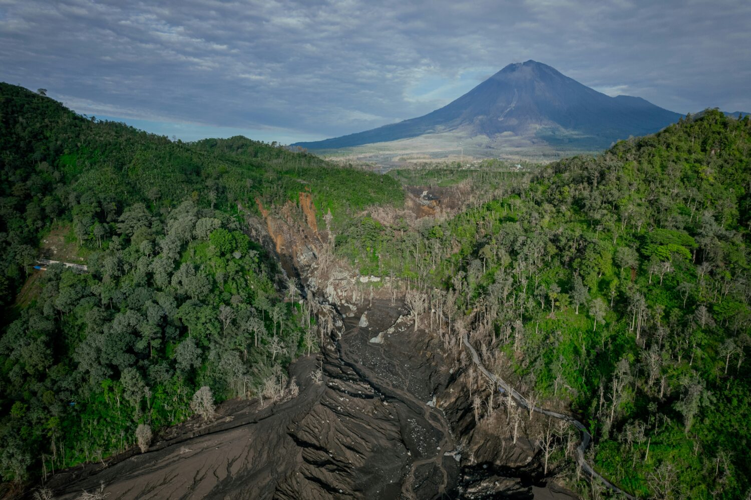 Volcanoes National Park Rwanda