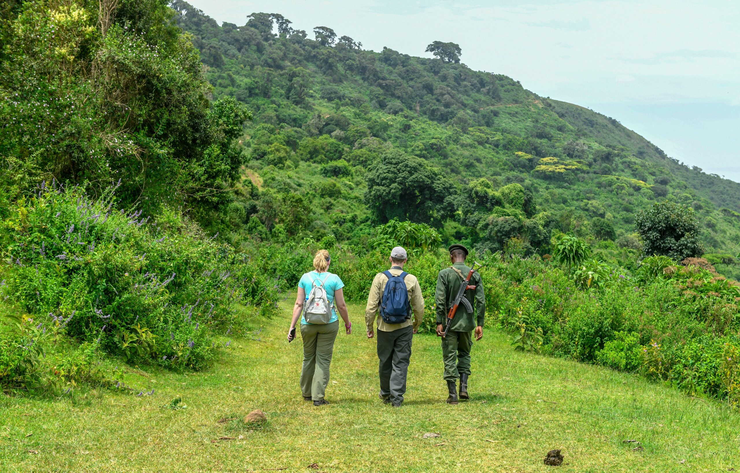 Bush Walk Uganda