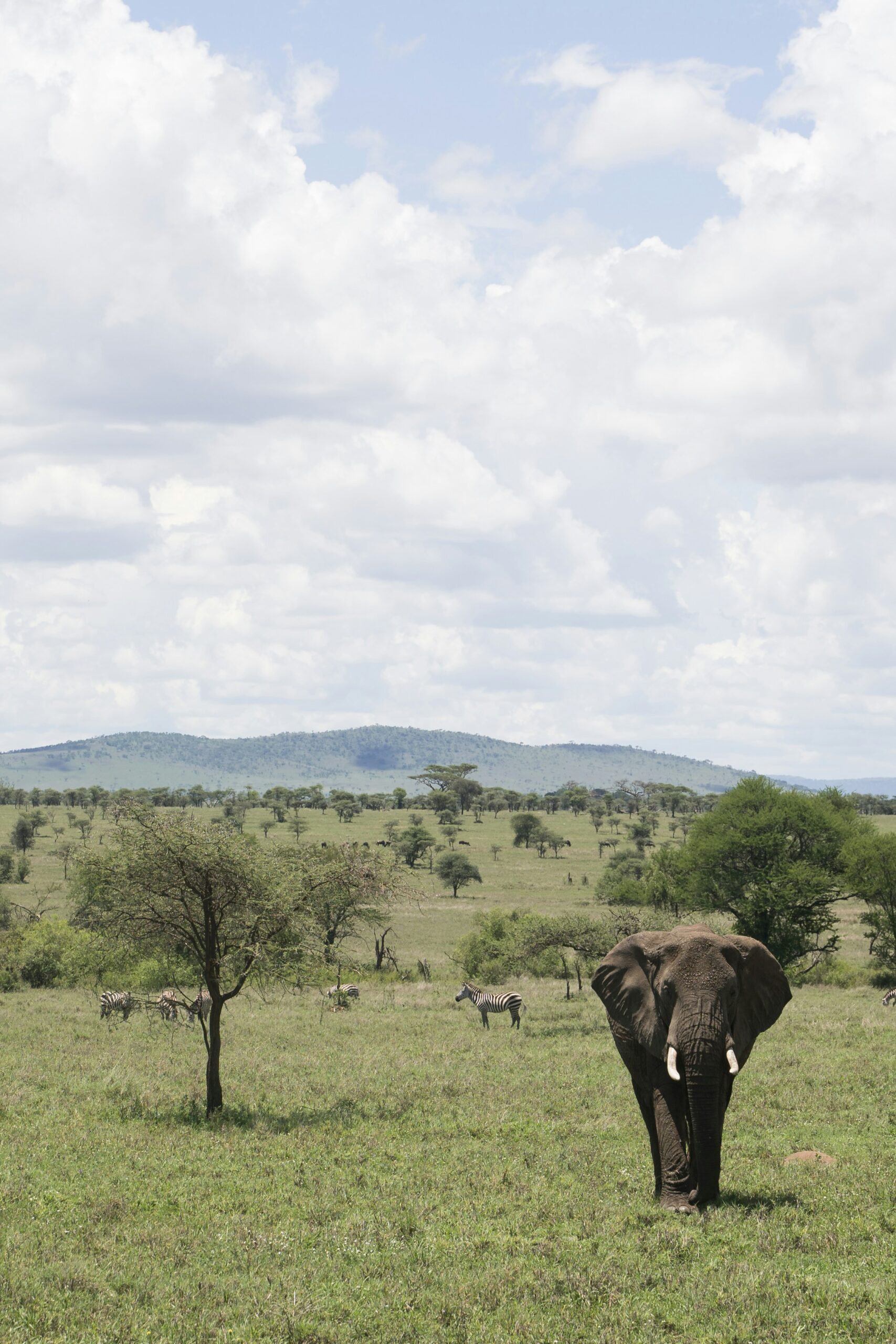 East Africa travel 2026