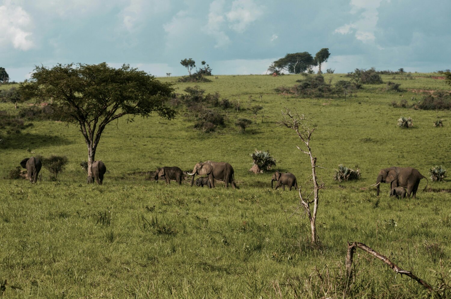 4-day Murchison Falls itinerary
