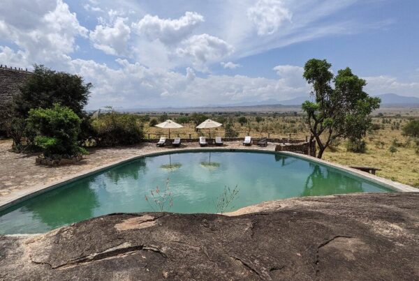 Apoka Safari Lodge review