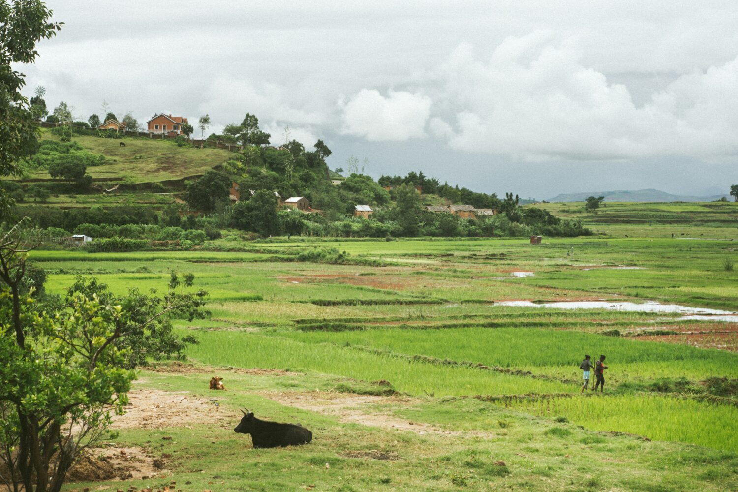 West Nile region Uganda