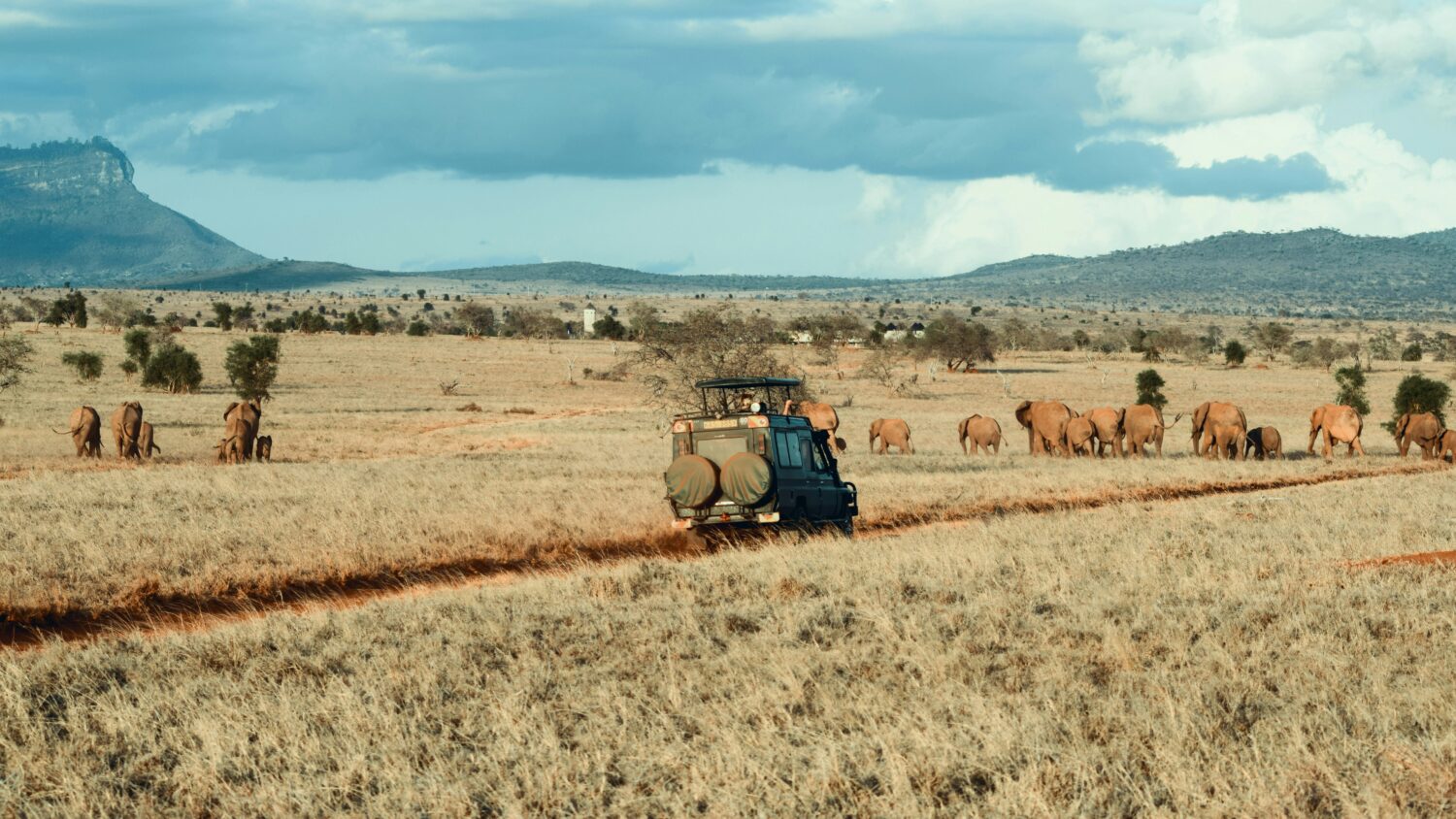 Uganda safari cost in euros
