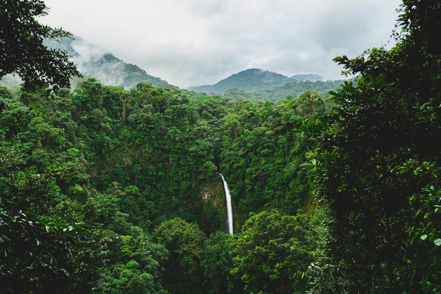 Uganda vs Costa Rica wildlife trip