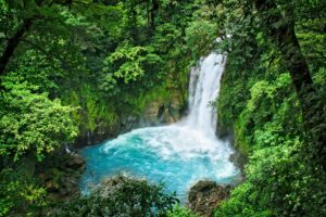 Uganda vs Costa Rica wildlife trip