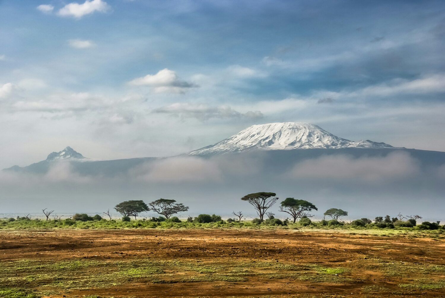 Uganda and Tanzania combined safari