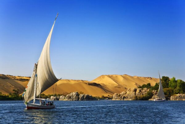 Uganda and Egypt safari