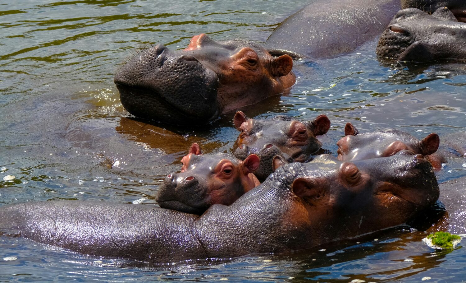 best time to visit Uganda around Eid