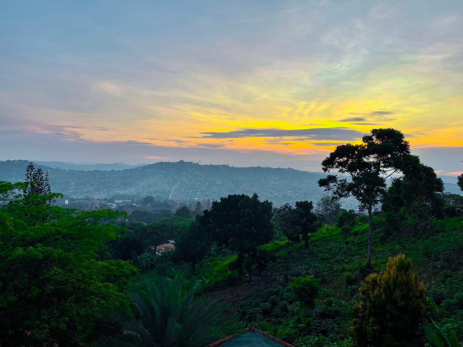 Uganda safari for seniors