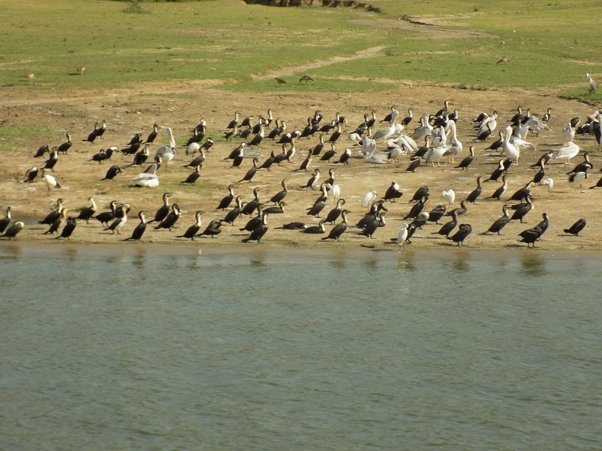 Lake George Uganda