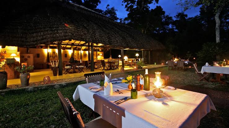 Ishasha Wilderness Camp review