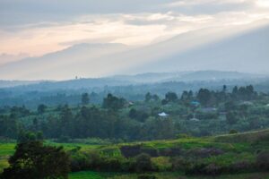 Uganda vs Sri Lanka Safari