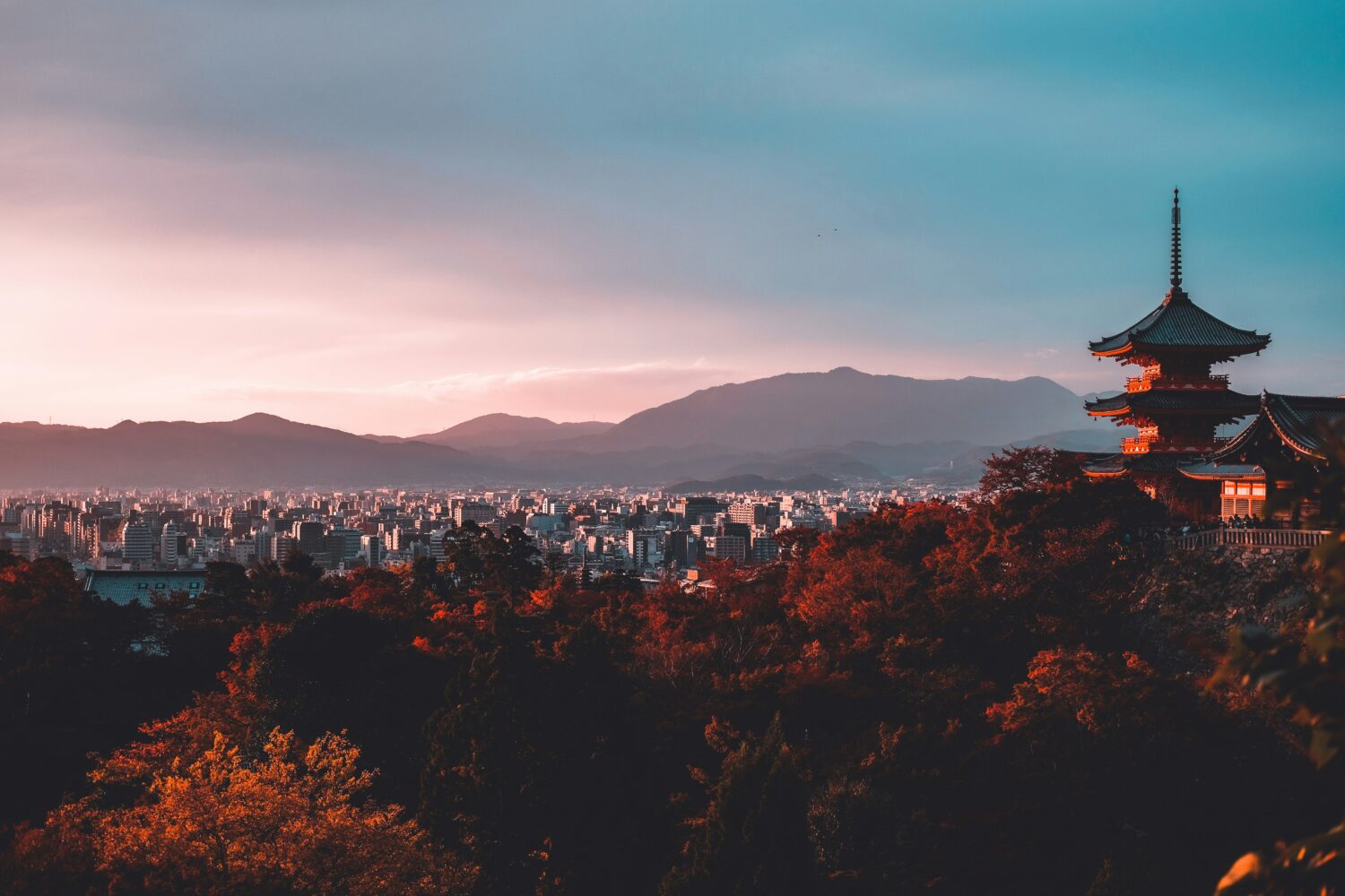 Uganda safari from Japan