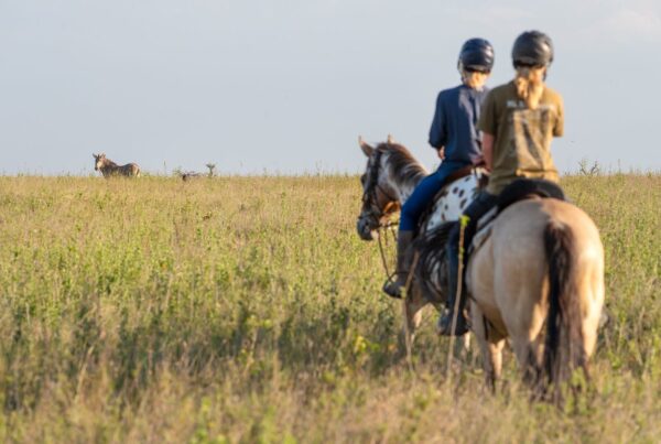 Horse riding Lake Mburo