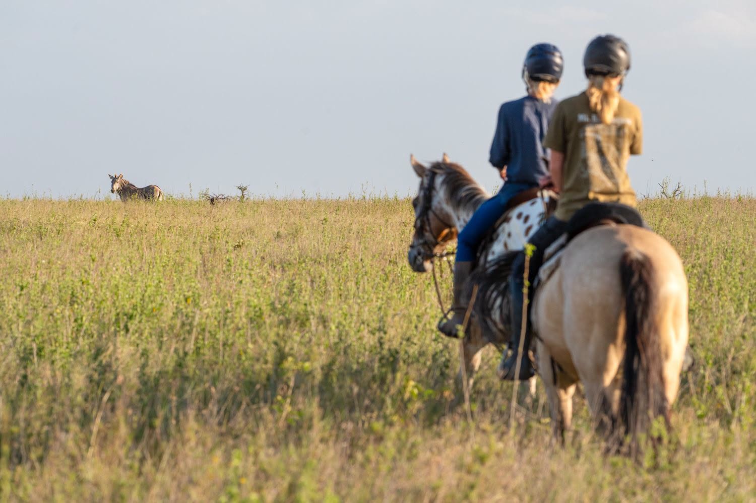 Horse riding Lake Mburo
