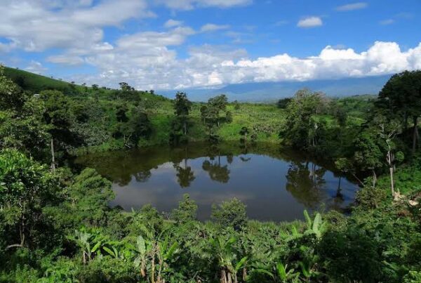 Ndali-Kasenda Crater Lakes
