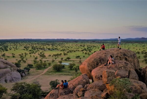 Uganda vs Namibia safari