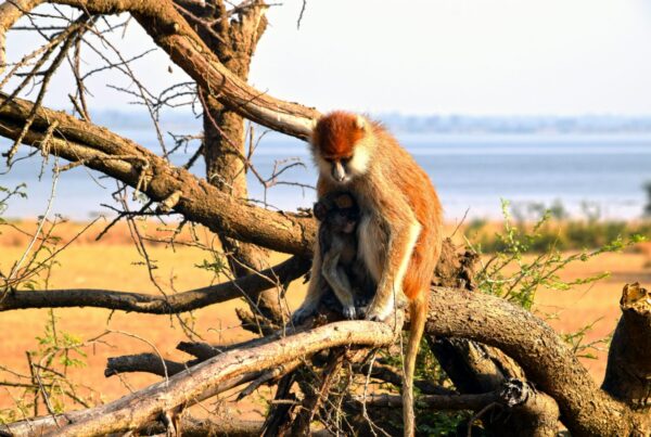 low-crowd national parks in Uganda