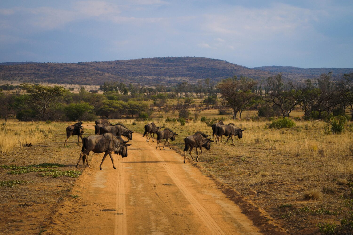 Crossing from Uganda to South Sudan