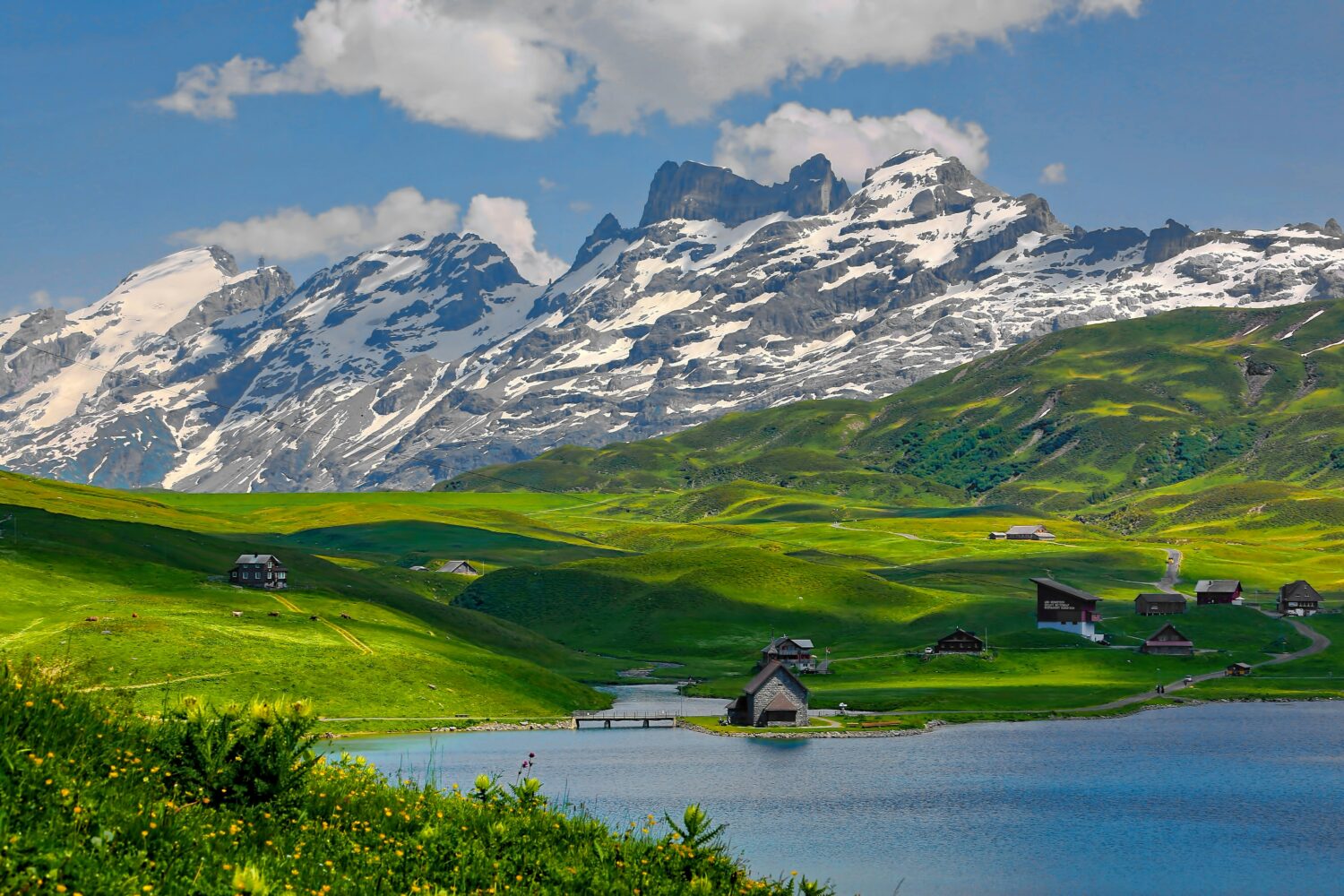 flights to Uganda from Switzerland