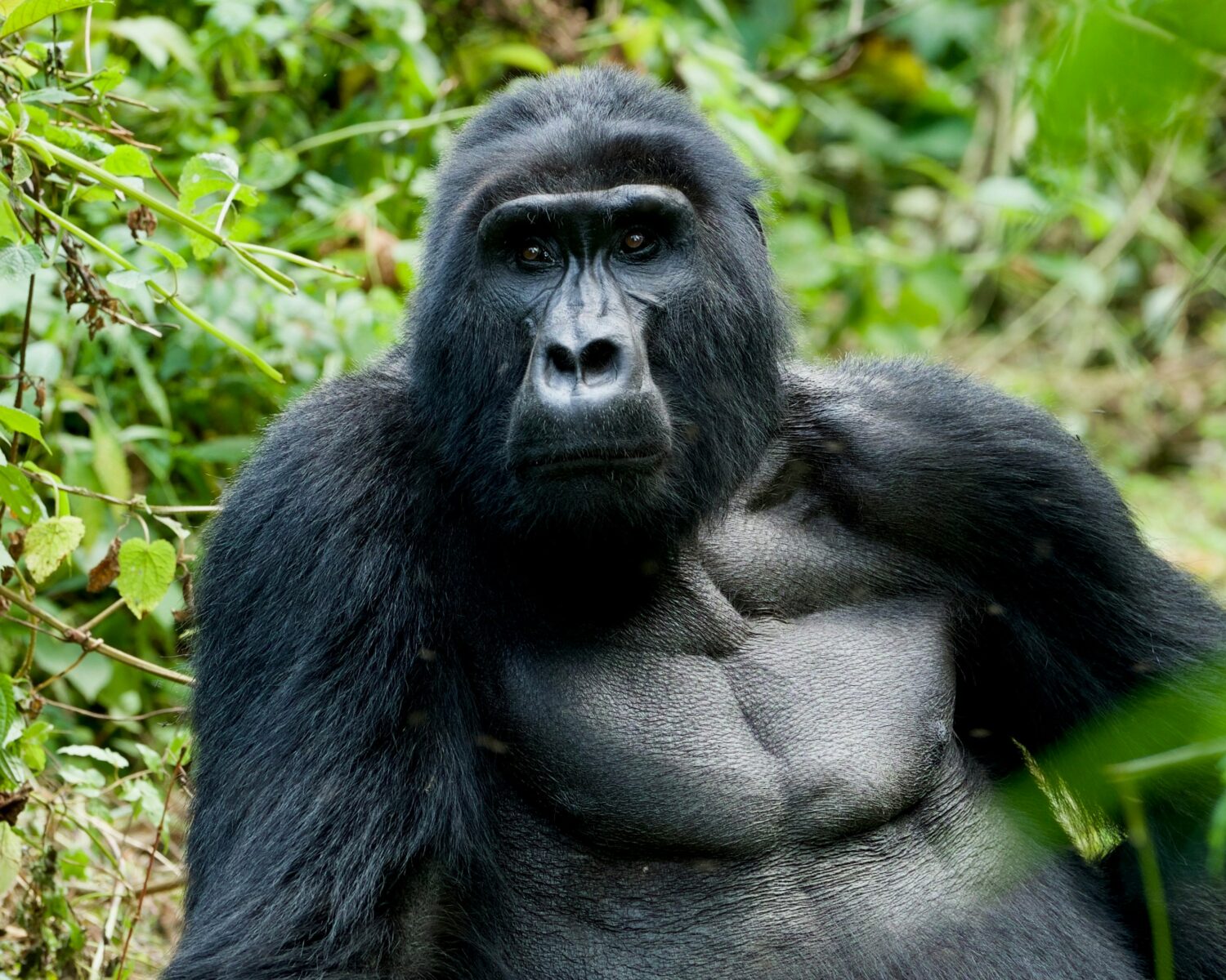 best add-on destinations after a Uganda gorilla safari