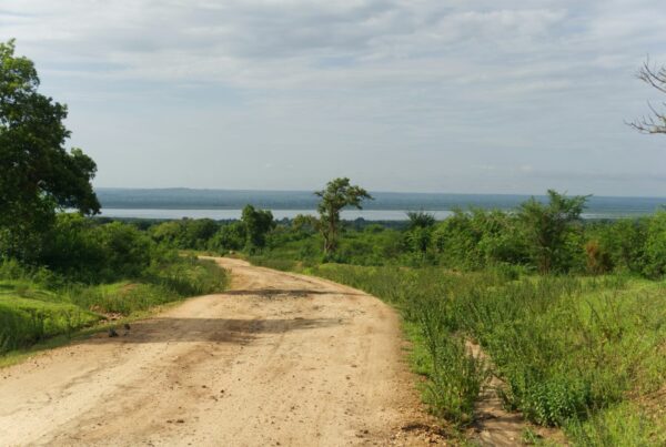 Uganda safari weather extremes