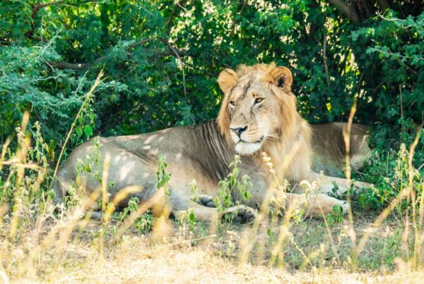UGX 430 billion tourism investment