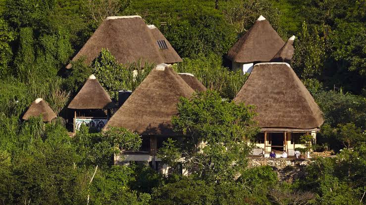 Volcanoes Bwindi Lodge review