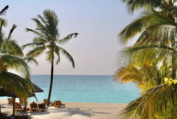 Uganda safari and Zanzibar