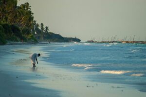 Uganda safari and Zanzibar
