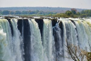 Uganda vs Zimbabwe safari