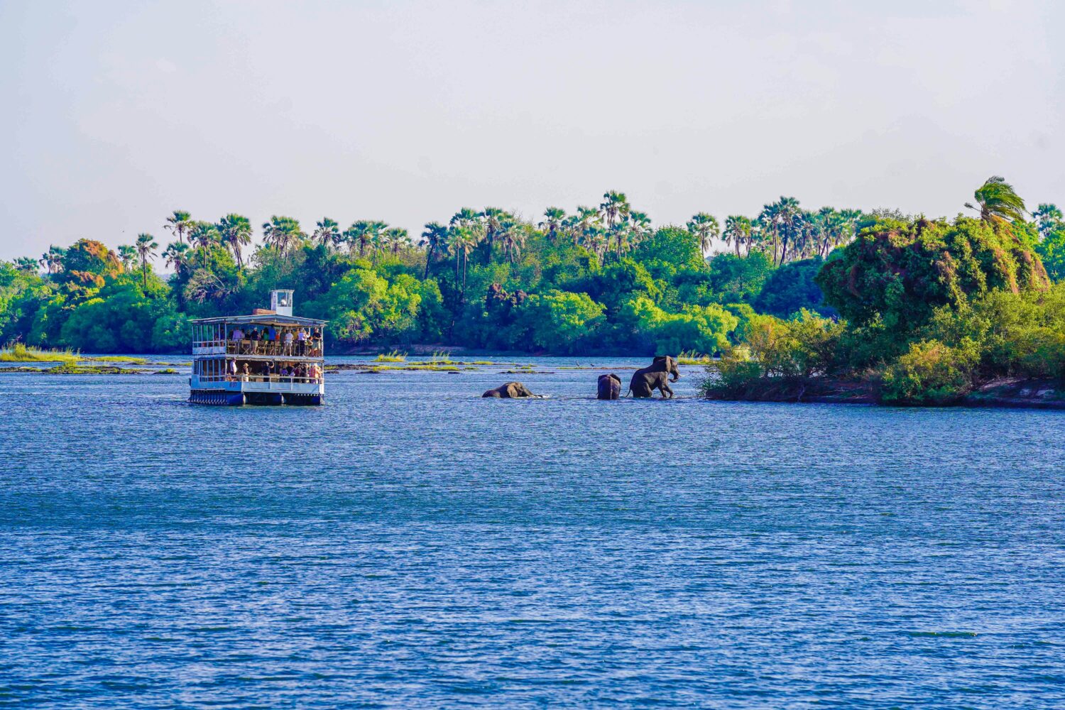 May safari at Murchison Falls