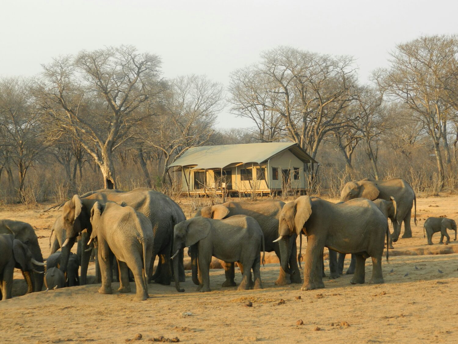 carbon-neutral and carbon-offset lodges in Uganda