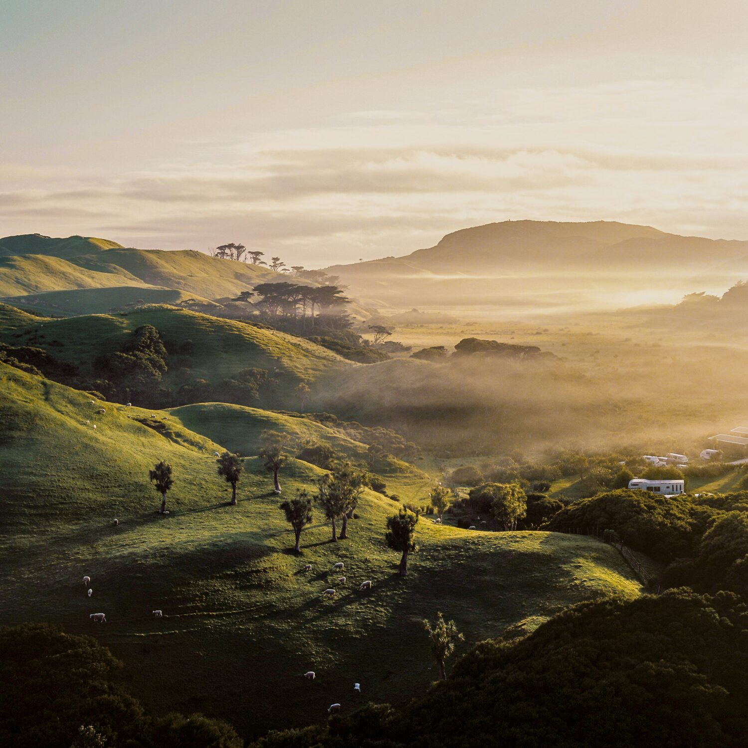 flights to Uganda from New Zealand